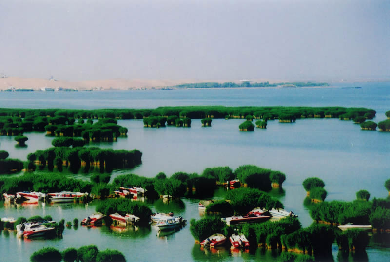 Sand Lake5 Sand Lake5
