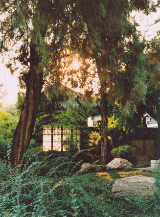 photo of Big Wild Goose Pagoda4