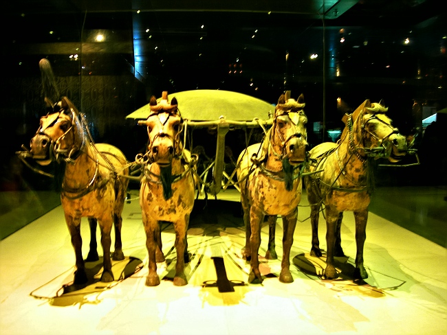 Museum of Qin Terra-cotta Warriors and Horses15 Museum of Qin Terra-cotta Warriors and Horses15