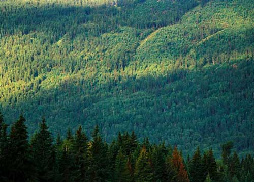 photo of Mountain Nanshan Pasture3
