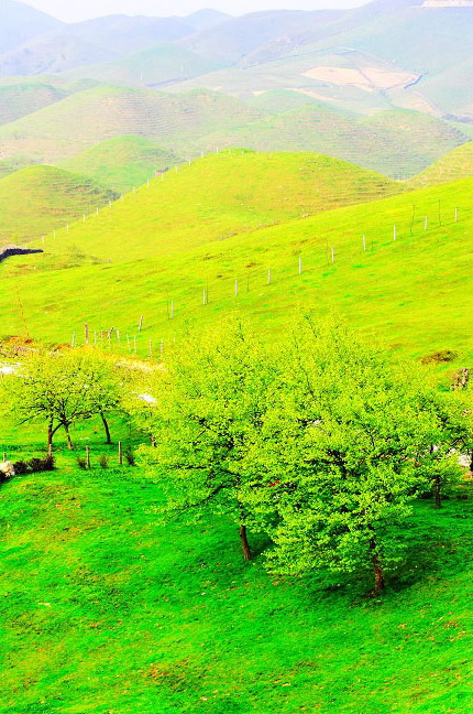 Mountain Nanshan Pasture8 Mountain Nanshan Pasture8