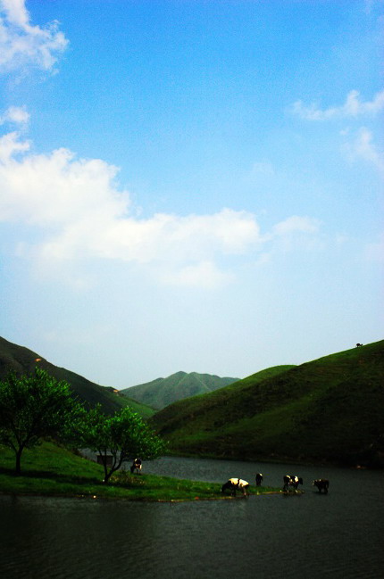 Mountain Nanshan Pasture9 Mountain Nanshan Pasture9