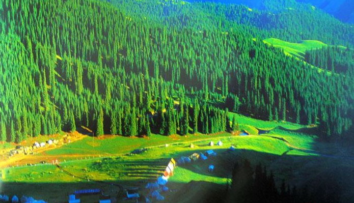 Mountain Nanshan Pasture12 Mountain Nanshan Pasture12