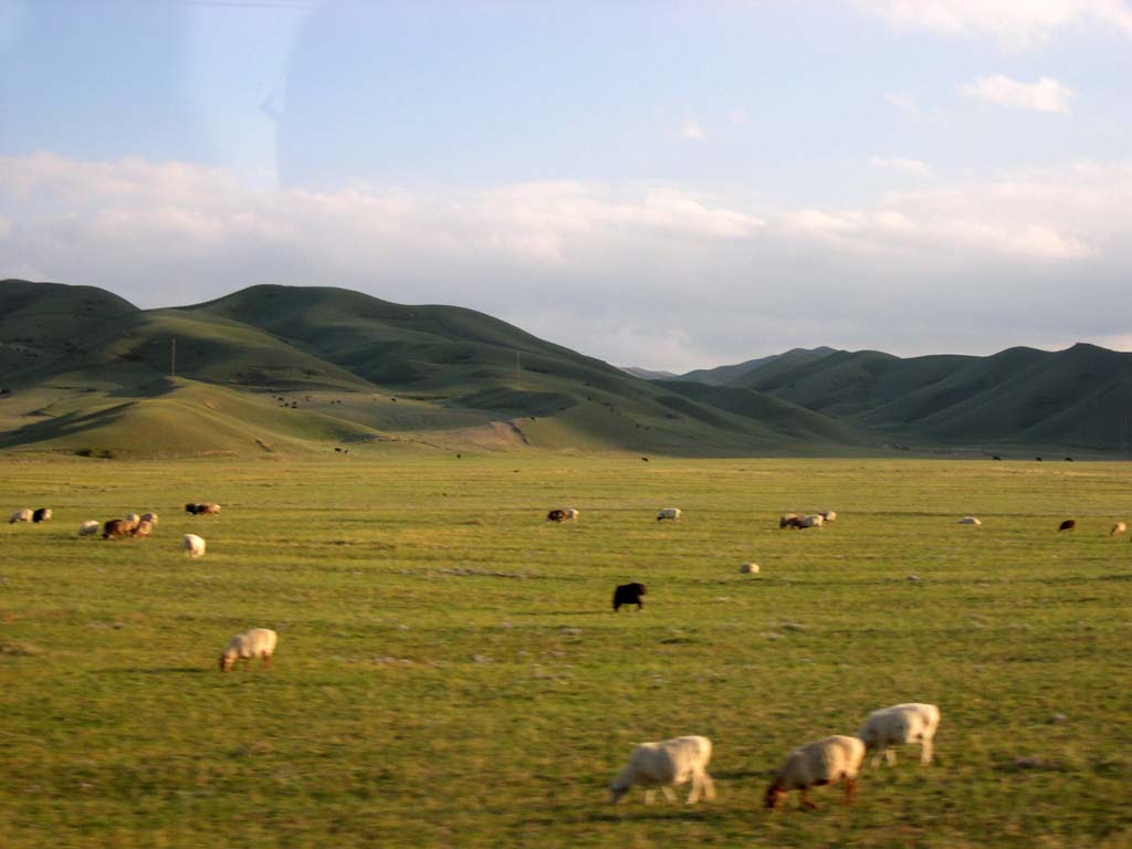 Mountain Nanshan Pasture13 Mountain Nanshan Pasture13