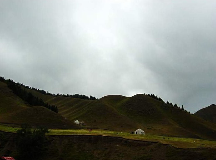 Mountain Nanshan Pasture14 Mountain Nanshan Pasture14