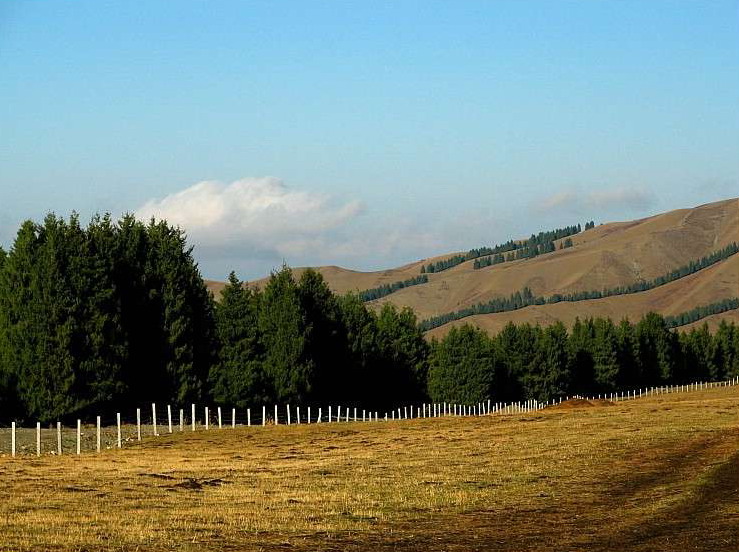 Mountain Nanshan Pasture16 Mountain Nanshan Pasture16