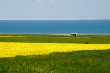 Qinghai Lake9 Qinghai Lake9
