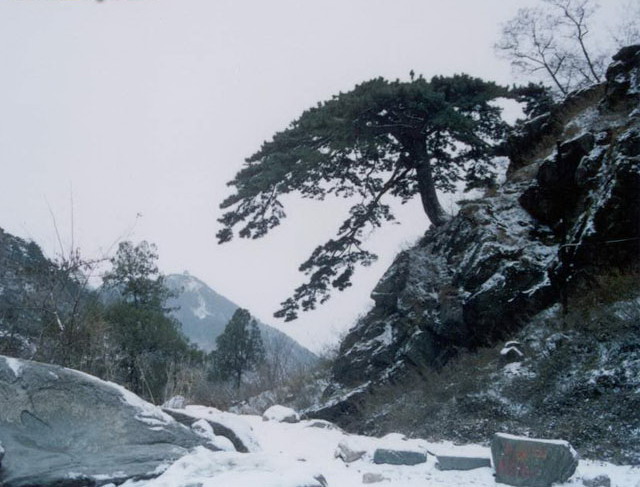 photo of Mountain Taishan11