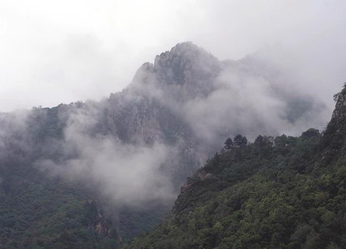 Mountain Wuling Scenic Area6 Mountain Wuling Scenic Area6