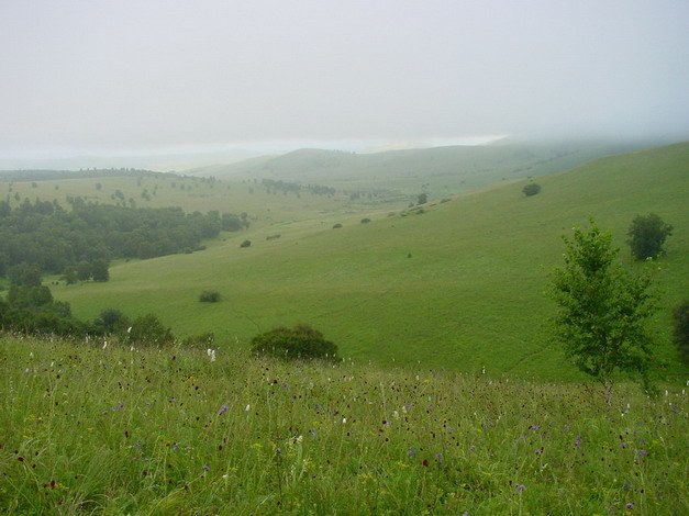 Mulan Hunting Ground4 Mulan Hunting Ground4