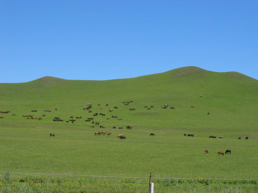 Mulan Hunting Ground8 Mulan Hunting Ground8