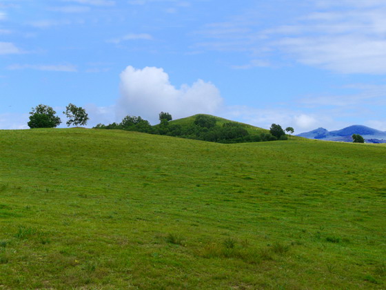 Mulan Hunting Ground15 Mulan Hunting Ground15
