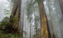photo of Suoxi Valley Nature Reserve