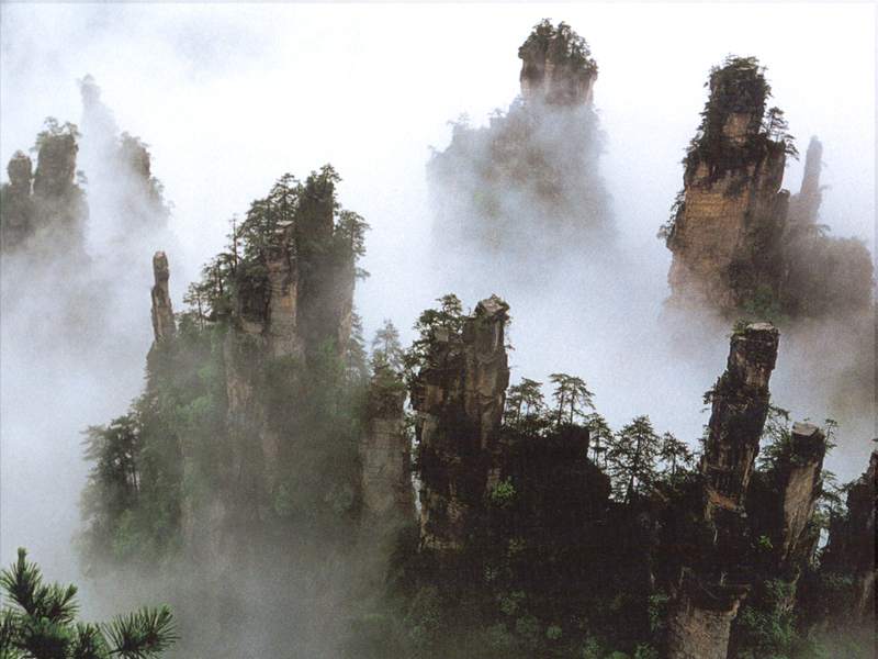 Wulinyuan Scenic Area5 Wulinyuan Scenic Area5