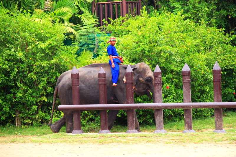 Travel to Thailand