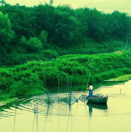 Chaohu Lake Scenery Area15 Chaohu Lake Scenery Area15