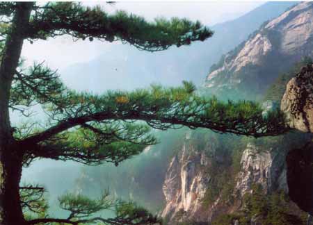 Tiantang Zhai Scenic Area12 Tiantang Zhai Scenic Area12