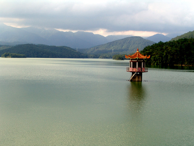 photo of Tong