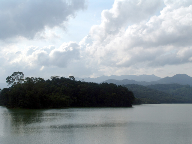 photo of Tong