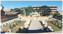 photo of Tong
