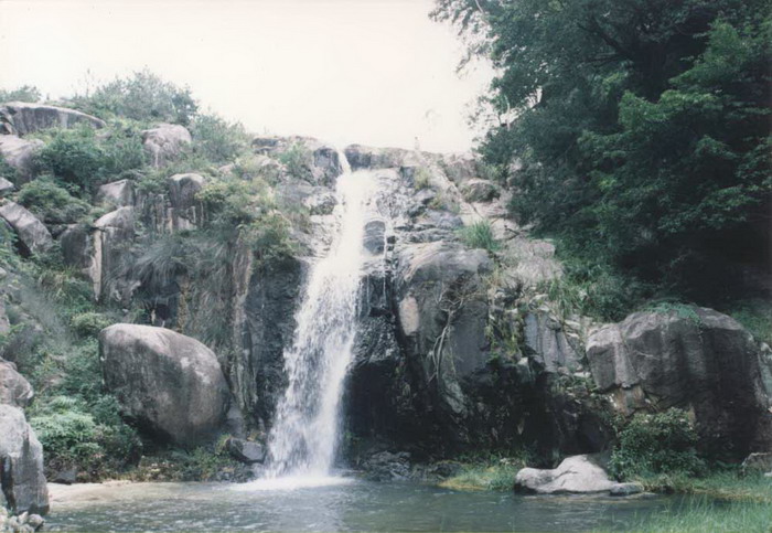 photo of Tong