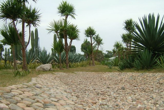 Wanshi Rock Tourist Area5 Wanshi Rock Tourist Area5