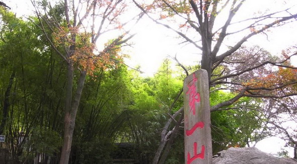 Mountain Qingyuan Scenic Area8 Mountain Qingyuan Scenic Area8