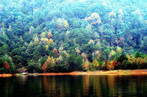 Golden Lake Tourist Area12 Golden Lake Tourist Area12