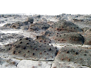 Zhangzhou Coastal Volcano National Geology Park8 Zhangzhou Coastal Volcano National Geology Park8