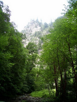 Tulugou State Forest Park10 Tulugou State Forest Park10