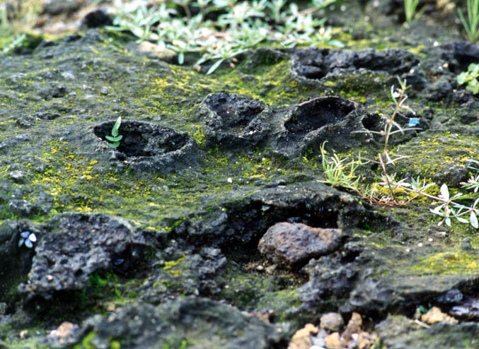 Once Boiling Volcanic Slop Once Boiling Volcanic Slop