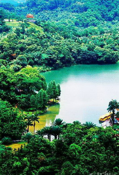 Shenzhen Immortal Lake Botanical Garden2 Shenzhen Immortal Lake Botanical Garden2