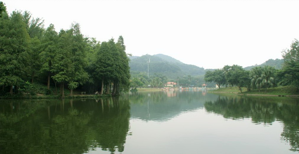 Shenzhen Immortal Lake Botanical Garden5 Shenzhen Immortal Lake Botanical Garden5