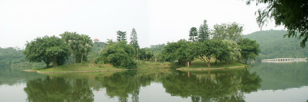 Shenzhen Immortal Lake Botanical Garden6 Shenzhen Immortal Lake Botanical Garden6