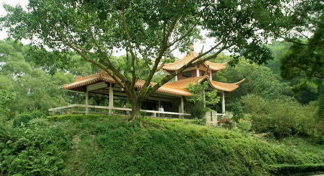 Shenzhen Immortal Lake Botanical Garden8 Shenzhen Immortal Lake Botanical Garden8
