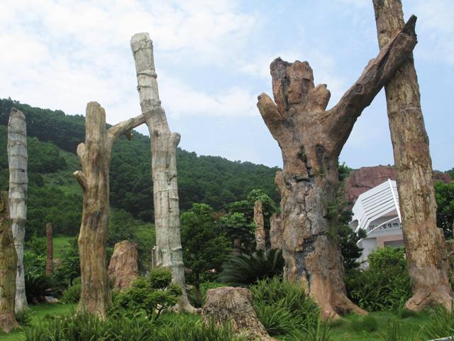 Shenzhen Immortal Lake Botanical Garden10 Shenzhen Immortal Lake Botanical Garden10