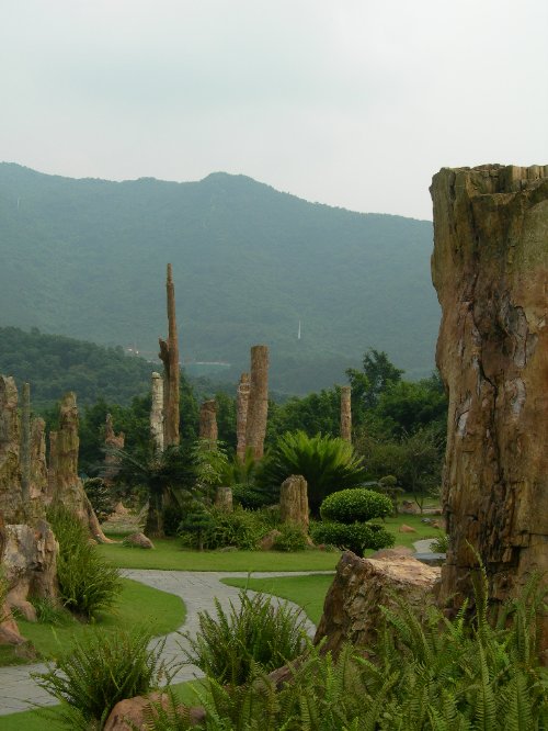 Shenzhen Immortal Lake Botanical Garden11 Shenzhen Immortal Lake Botanical Garden11