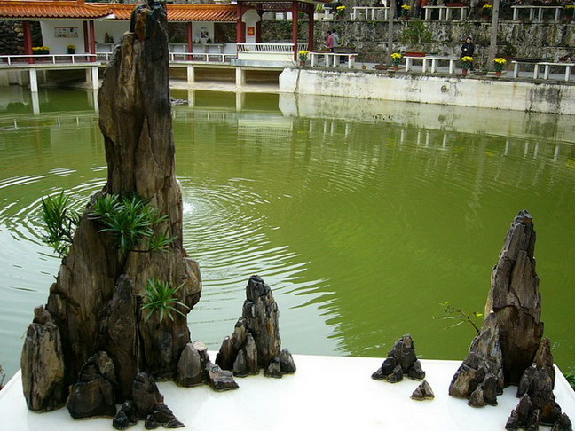 Shenzhen Immortal Lake Botanical Garden15 Shenzhen Immortal Lake Botanical Garden15