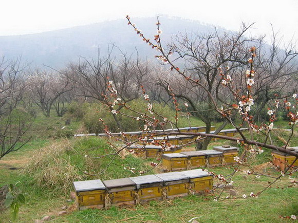 Guiping Mountain Xishan Scenic Area8 Guiping Mountain Xishan Scenic Area8