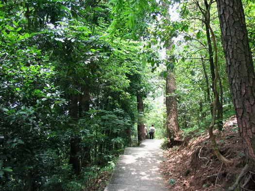 Guiping Mountain Xishan Scenic Area10 Guiping Mountain Xishan Scenic Area10