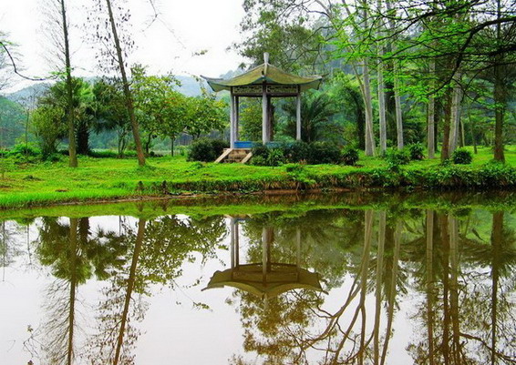 photo of Liangfengjiang National Forest Park14
