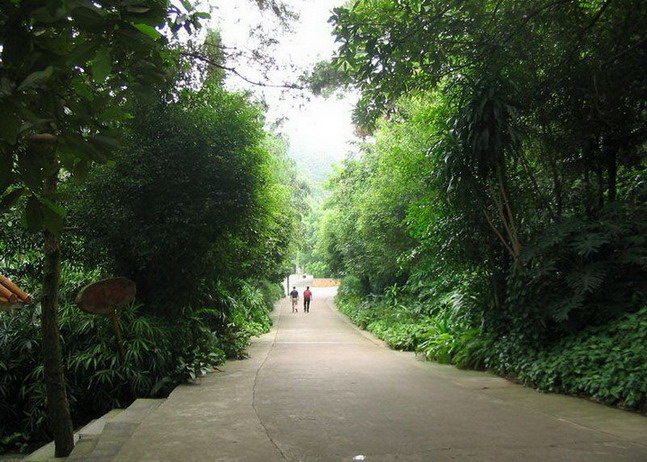 Mountain Qingxiu Scenic Area9 Mountain Qingxiu Scenic Area9