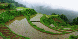 Mountain Doupeng-Jianjiang River Scenic Area15 Mountain Doupeng-Jianjiang River Scenic Area15