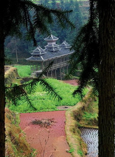photo of Liping Dong Village Scenic Area14