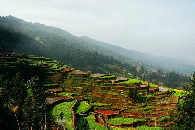 photo of Liping Dong Village Scenic Area