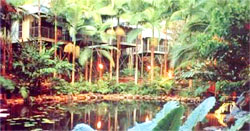photo of Dongshan Lake Tropical Safari Park11