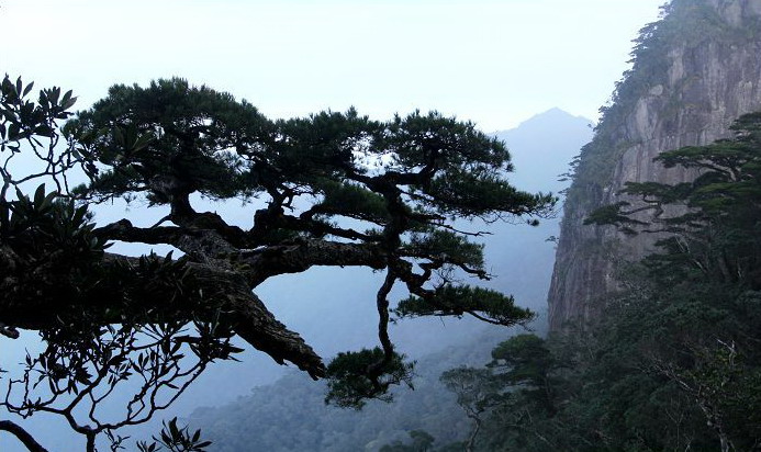 photo of Mountain Five Fingers9