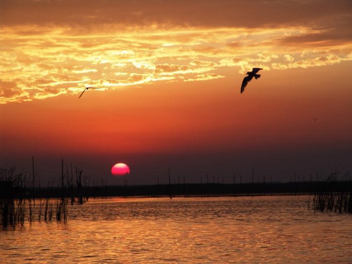 photo of Baiyangdian Lake4