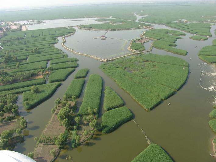 photo of Baiyangdian Lake7