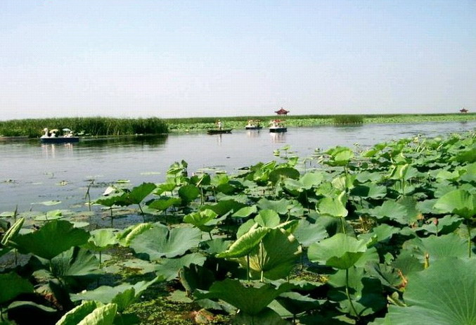 Baiyangdian Lake8 Baiyangdian Lake8
